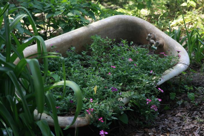 Old Clawfoot tub filled with flowers